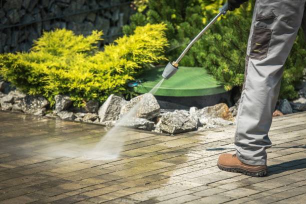 Best House Exterior Washing  in Solvay, NY